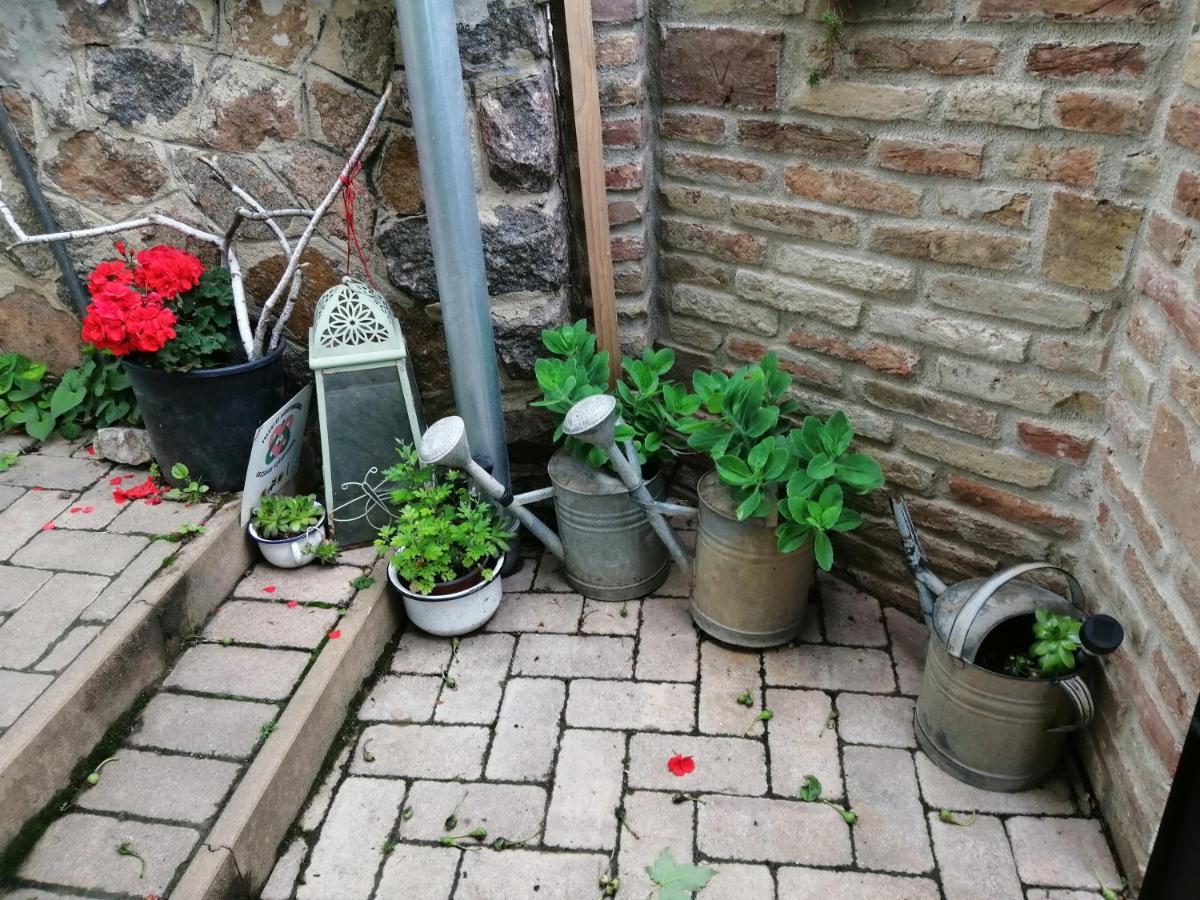 Mives Vendeghaz Hotel Pogány Exterior foto